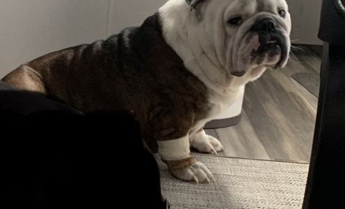 Oakdale Animal Clinic 2628 US-165, Oakdale Louisiana 71463