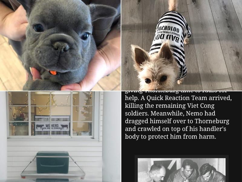 Huston Veterinary Service, LLC