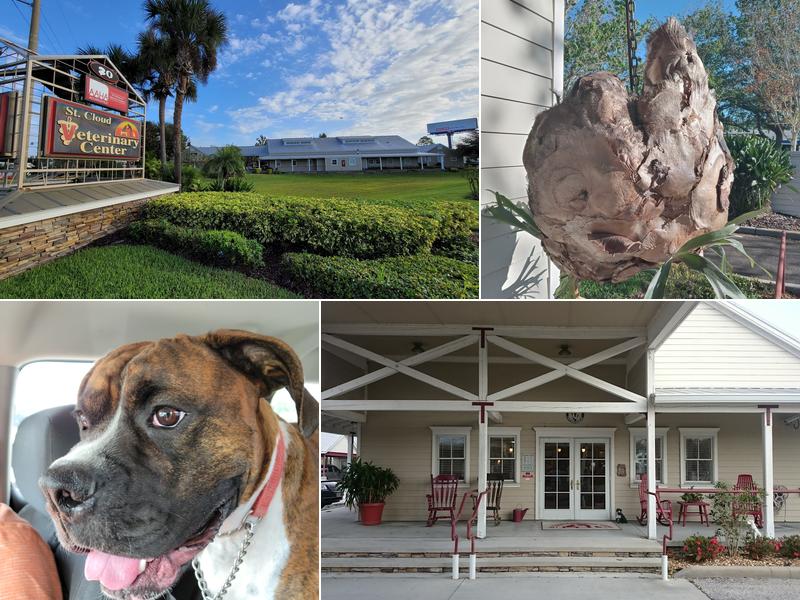 St Cloud Veterinary Clinic