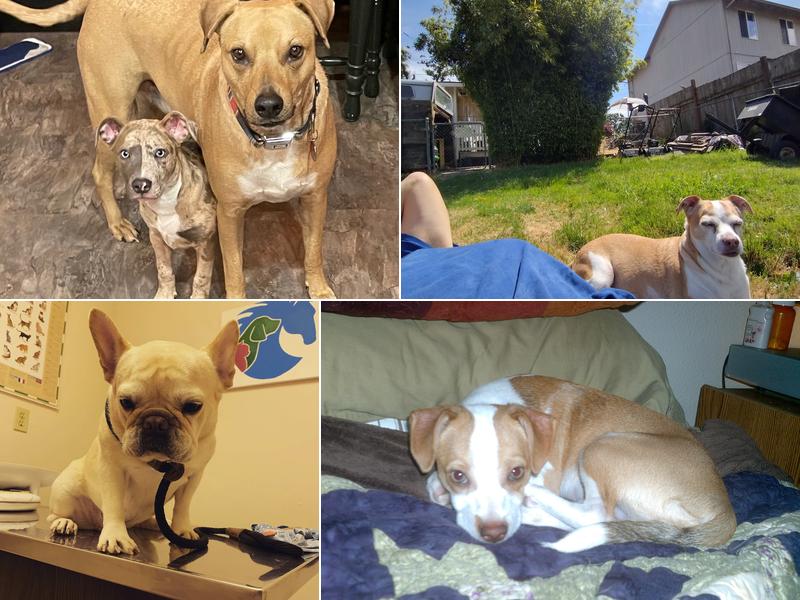 Columbia Veterinary Clinic