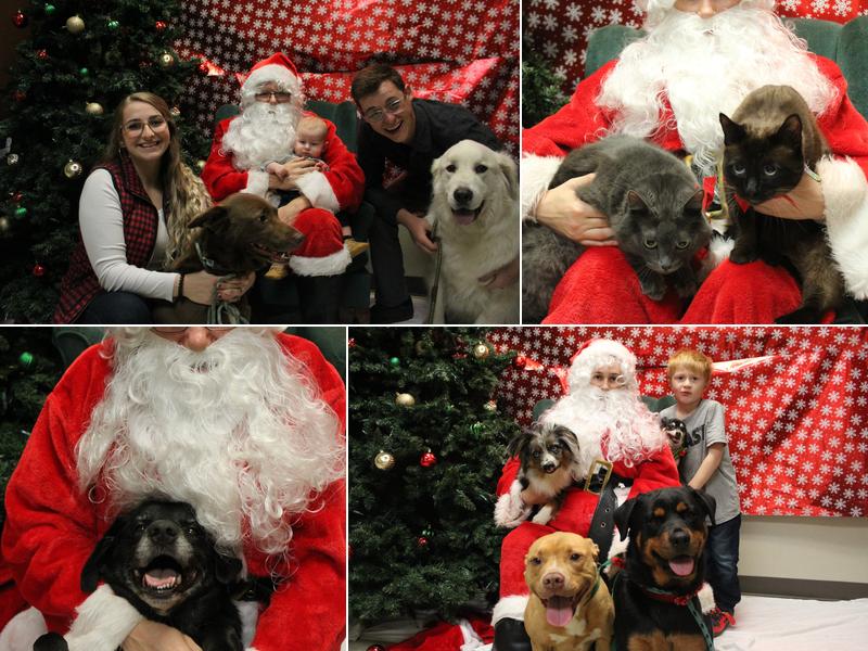 Midway Veterinary Hospital: Johnson Brad DVM