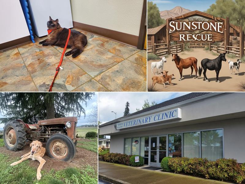 North Plains Veterinary Clinic