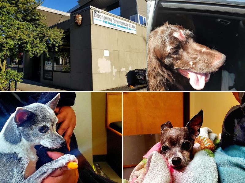 Broadway Veterinary Clinic