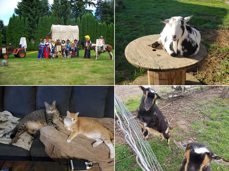 Amazia Veterinary Service