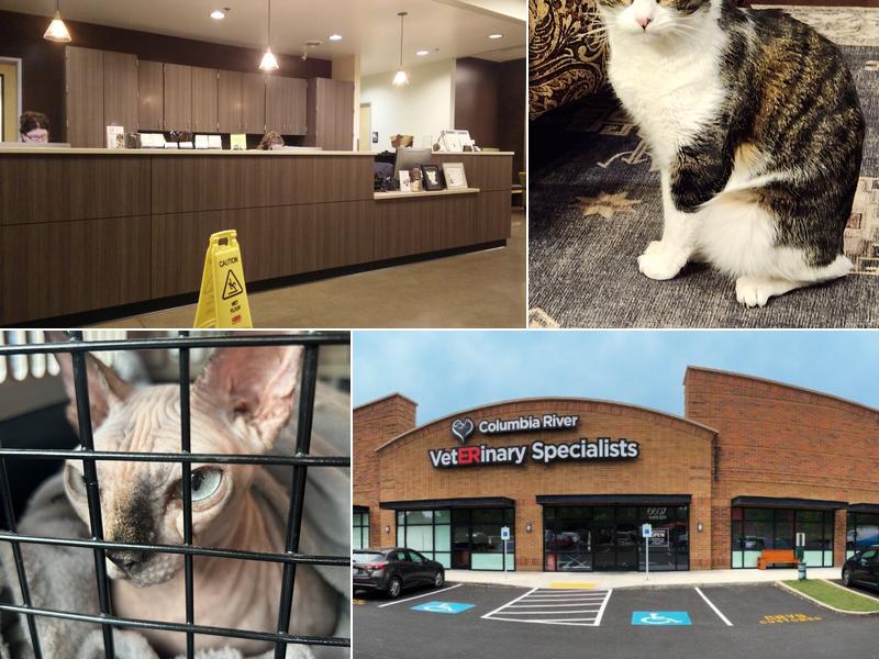 Columbia River Veterinary Specialists