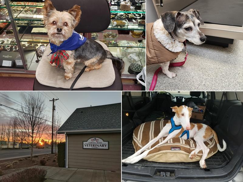 Cornell Road Veterinary Clinic