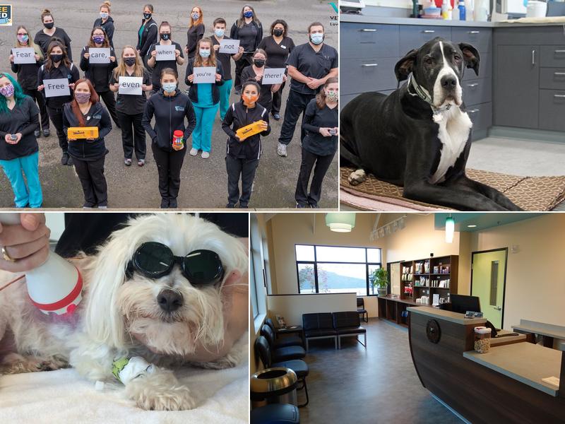 Viking Veterinary Care