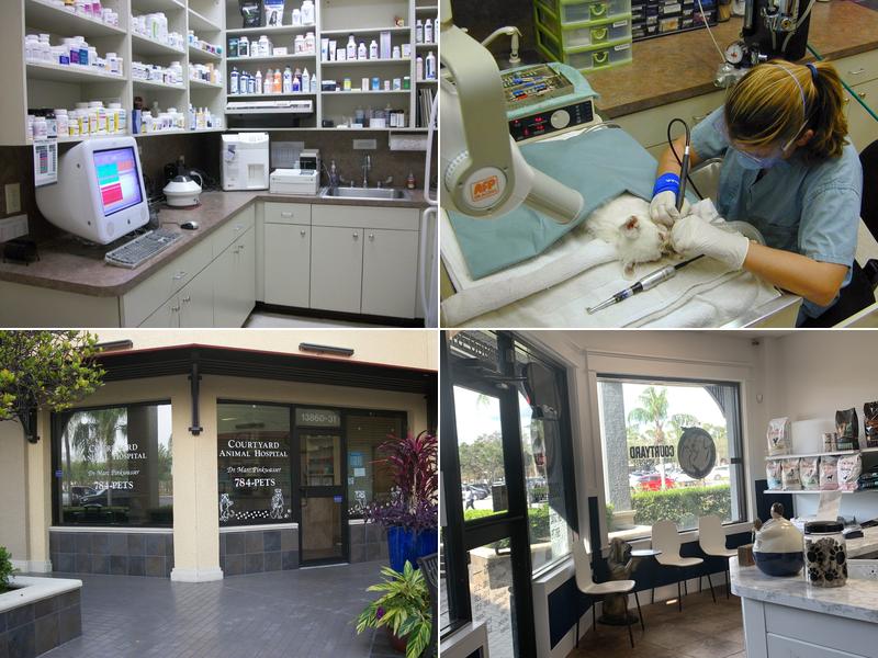 Courtyard Animal Hospital