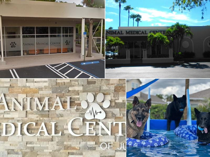 Animal Medical Center of Jupiter