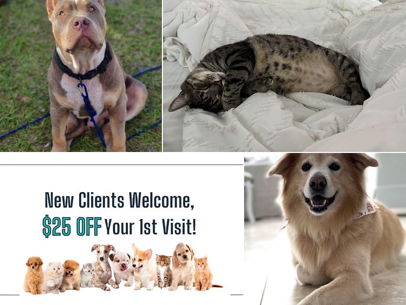 Tequesta Veterinary Clinic