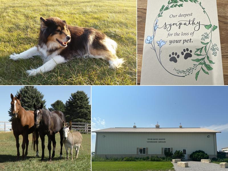 River Basin Equine Veterinary