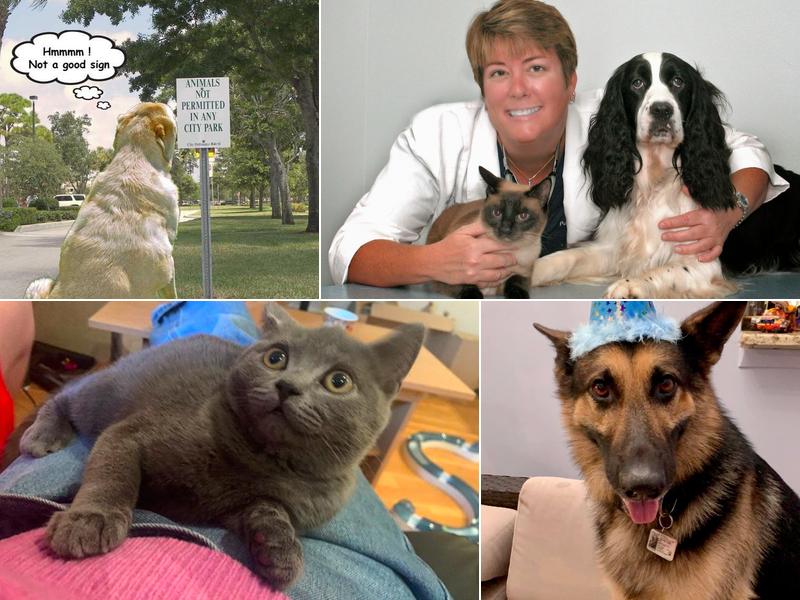 Mary C. Fondren, DVM