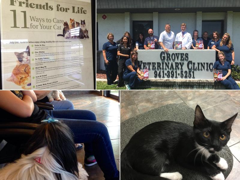 Groves Veterinary Clinic