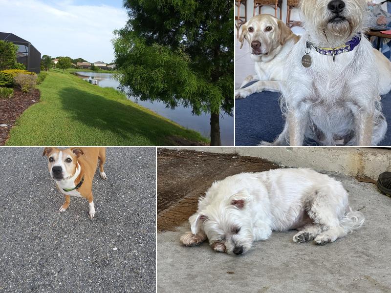 Nokomis Veterinary Clinic