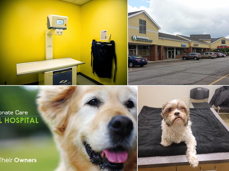 Compassionate Care Animal Hospital