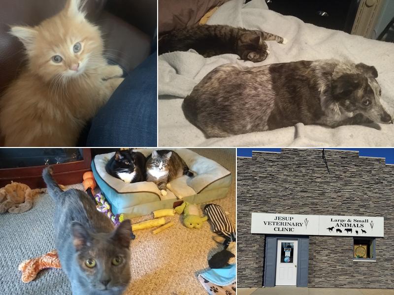 Jesup Veterinary Clinic