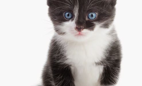 Paddock Park Animal Care Center