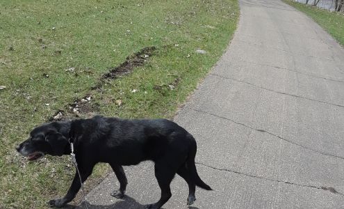 Norwood Veterinary Clinic Norwood Young America