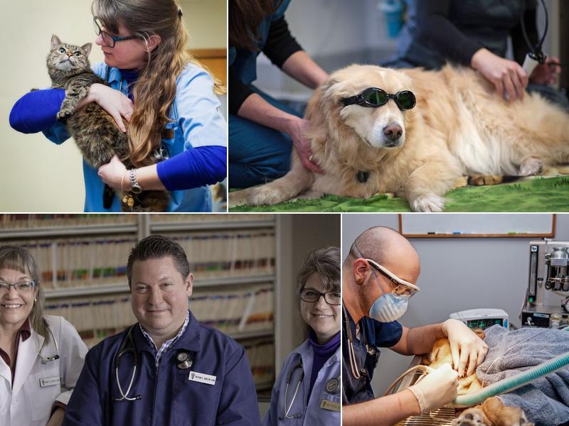 Rockford Veterinary Clinic