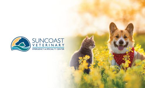 Suncoast Veterinary Emergency & Specialty Center