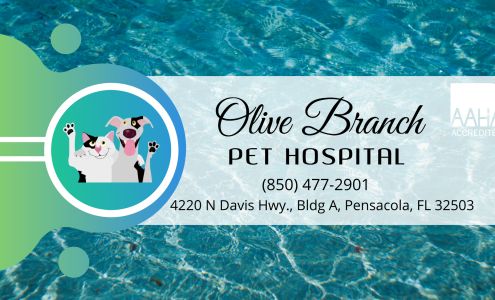 Olive Branch Pet Hospital
