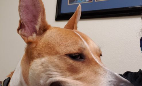 Pine Forest Animal Clinic