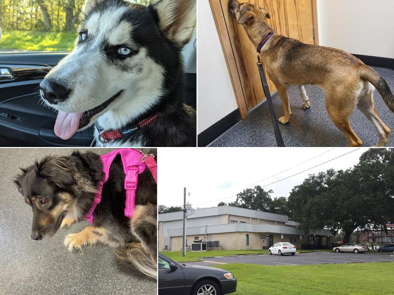 Scenic Hills Veterinary Hospital