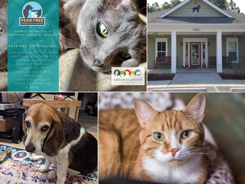Megan's Landing Veterinary Clinic