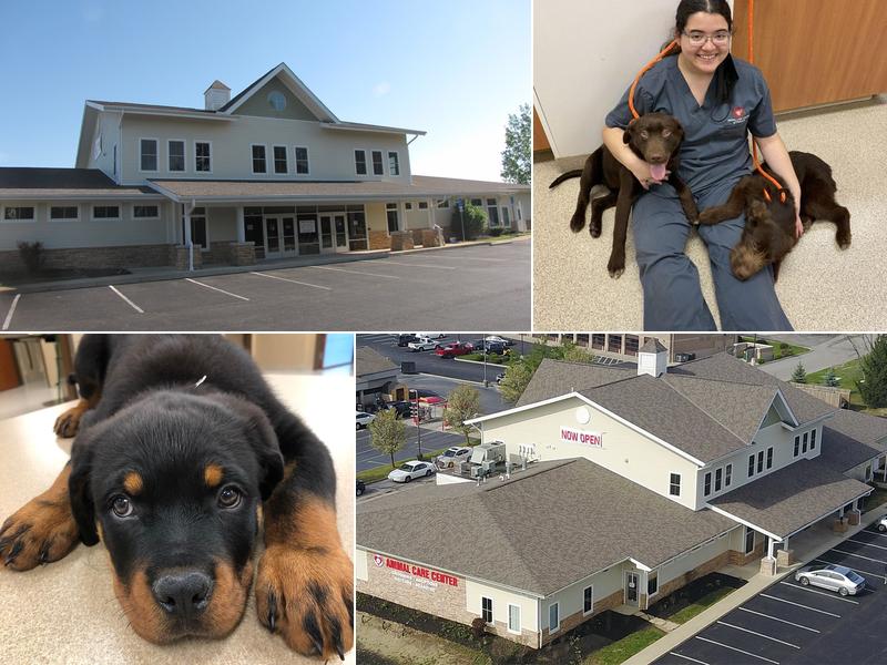 Animal Care Center of Polaris