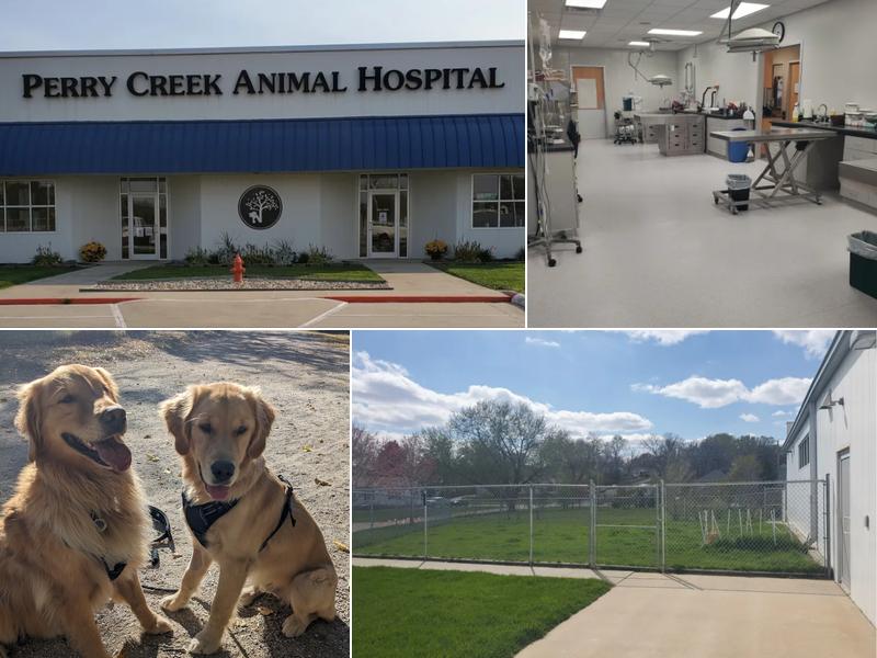 Family Pet at Perry Creek