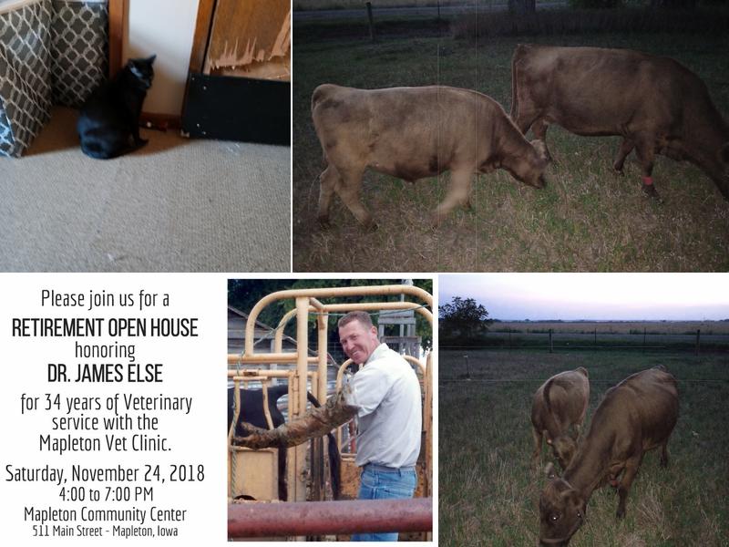 Valley Veterinary Center