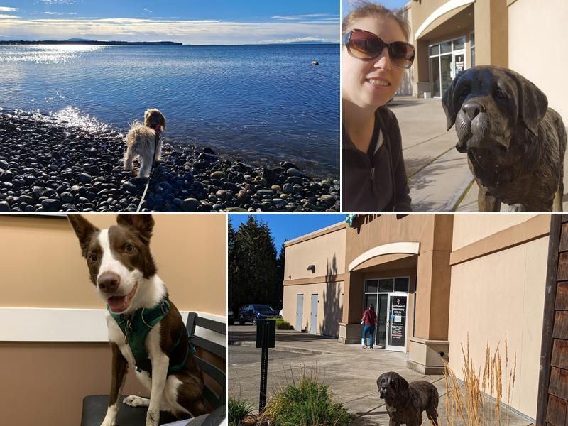 Northwest Veterinary Clinic Inc PS