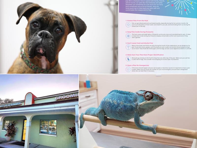 The Animalife Veterinary Center