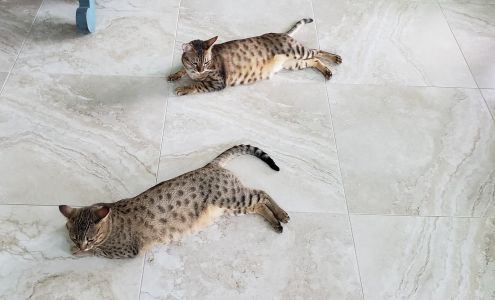 Crossroads Veterinary Clinic