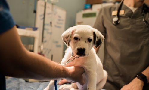 Humane Society Naples: Veterinary Clinic