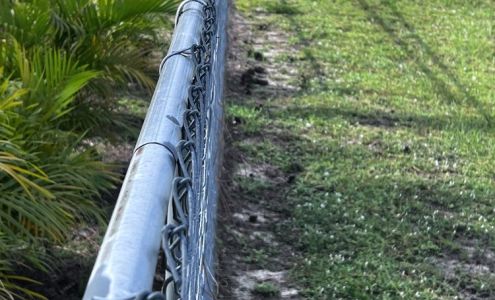 Vet Vaccinations Clinic at Collier Co Domestic Animal Services