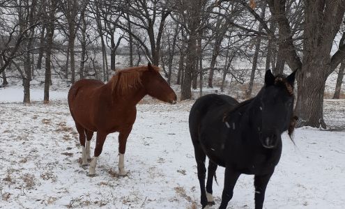 Lakes Veterinary Hospital 602 Olaf Ave S, Battle Lake Minnesota 56515