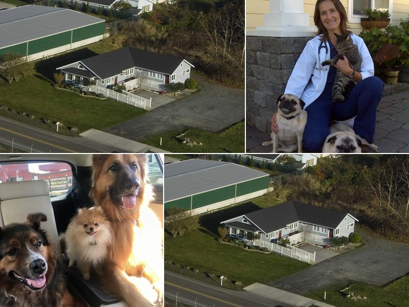 Sonja C. Webster-Hills, DVM