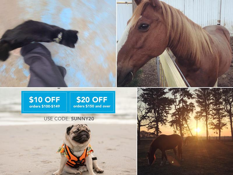 Plainfield Veterinary Services