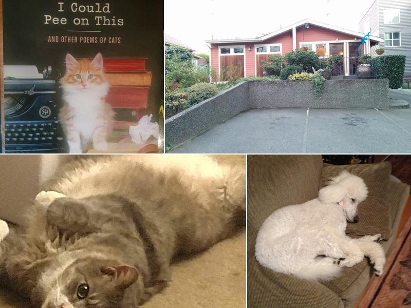 Interbay Veterinary Care Center