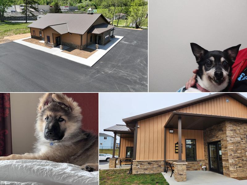 Veterinary Associates