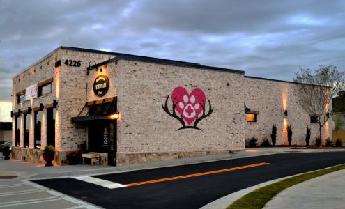 BuckHaven Veterinary Clinic