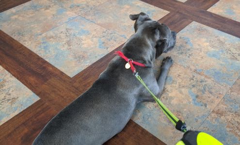 Leland Veterinary Clinic