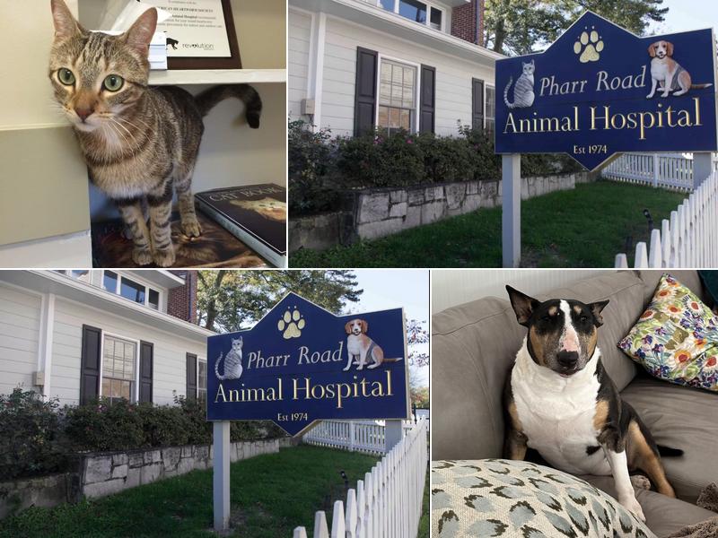 Pharr Road Animal Hospital