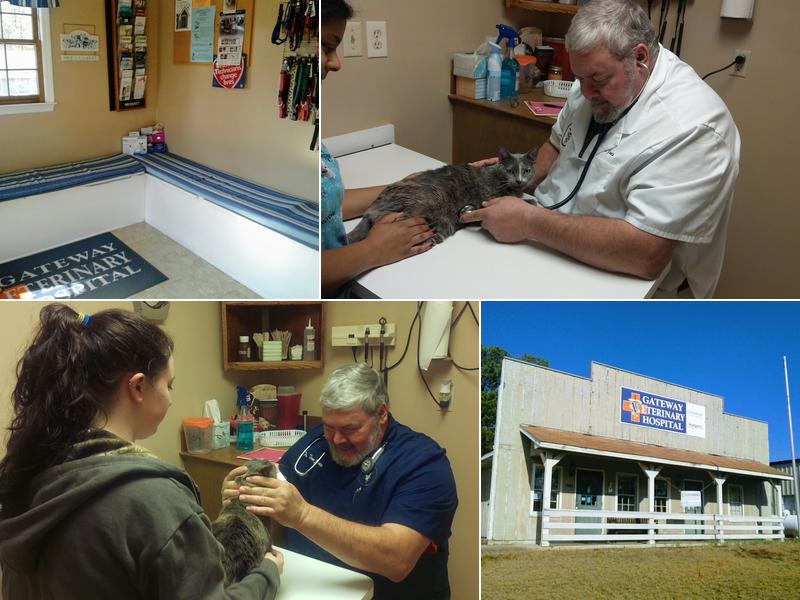 Gateway Veterinary Hospital
