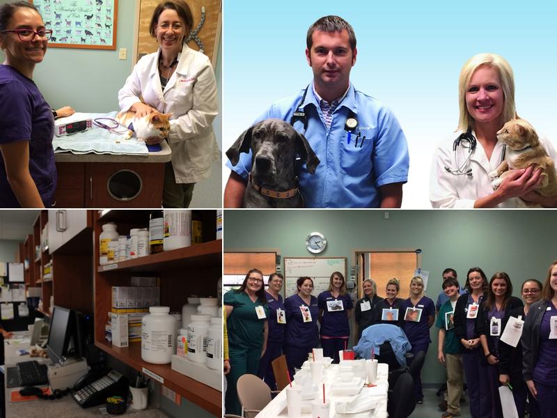 Dr. Shannon Wylie, DVM