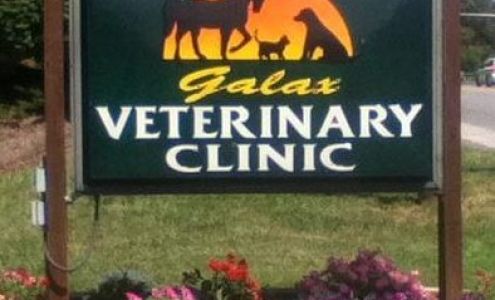 Renee Sykes, DVM Galax