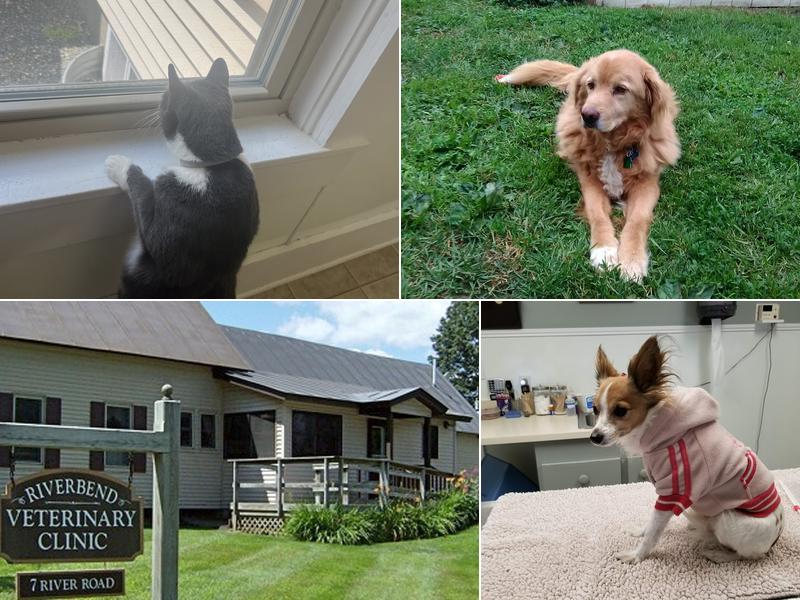Riverbend Veterinary Clinic