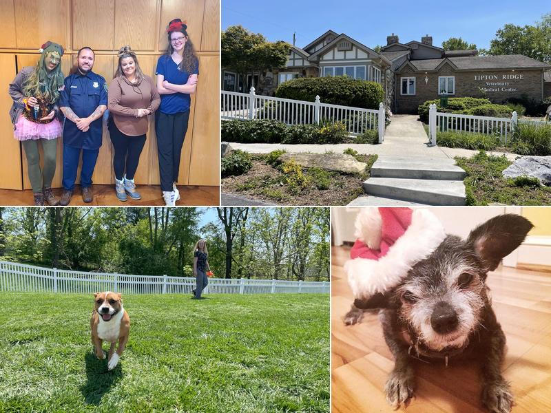 Tipton Ridge Veterinary Center