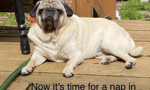 Powell Veterinary Center